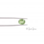 Natural Oval Shape Tsavorite Garnet Gemstones for Sale South Africa