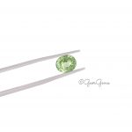 2.24ct Tsavorite Garnet -Oval shape - Image 2