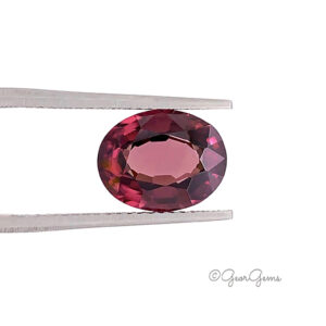 Natural Oval Shape Red Brown Zircon Gemstones for Sale South Africa