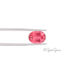 Natural Oval Pink Tourmaline for Sale South Africa