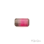 Natural Emerald Cut Bi Colour Tourmaline Gemstones for Sale South Africa