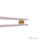 Natural Oval Shape Fancy Brown Pink Coloured Diamond for Sale South Africa