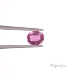 Natural Oval Shape Pink Sapphire Gemstones for Sale South Africa