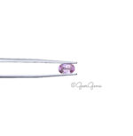 Natural Oval Shape Pink Sapphire Gemstones for Sale South Africa