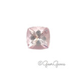 5.0ct Morganite - Square Cushion