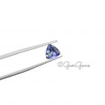 0.84ct Tanzanite - Trillion Shape - Image 2