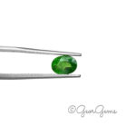 1.13ct Tsavorite Garnet - Oval