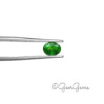 0.93ct Tsavorite Garnet - Oval