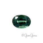 1.03ct Teal Sapphire - Oval (7x5mm)