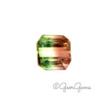 3.76ct Watermelon Tourmaline - Square Octagon