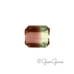 5.46ct Watermelon Tourmaline - Octagon