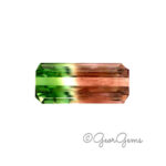 8.55ct Watermelon Tourmaline - Octagon
