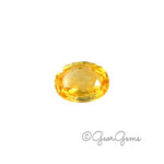 0.32ct Yellow Sapphire - Oval