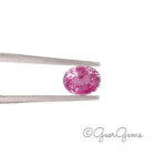 1.10ct Pink Sapphire - Oval