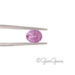 1.27ct Pink Sapphire - Oval