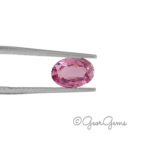 1.63ct Pink Sapphire - Oval