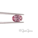 1.27ct Pink Sapphire - Oval