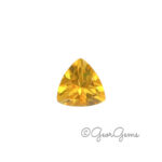 Citrine - Triangular Cushion