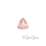Morganite - Triangular Cushion