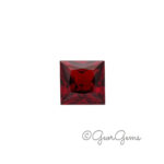 Mozambique Garnet - Square
