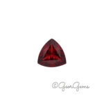 Mozambique Garnet - Triangular Cushion