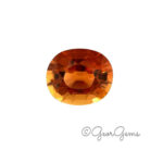3.03ct Tourmaline - Oval