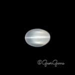 8.78ct Cats Eye Moonstone - Oval Cabochon