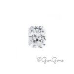 Moissanite - Radiant Cut (6x4-12x10mm)