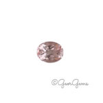 2.37ct Morganite - Oval