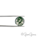 6.81ct Moss Agate - Round