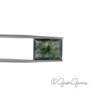 5.52ct Moss Agate - Rectangular Step Cut