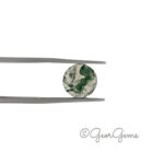 2.84ct Moss Agate - Round Cabochon