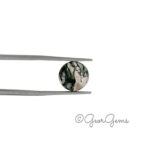 3.48ct Moss Agate - Round Cabochon