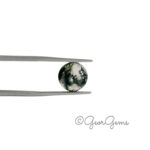3.35ct Moss Agate - Round Cabochon