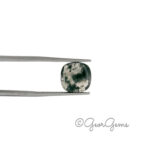 3.68ct Moss Agate - Cushion Cabochon