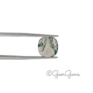 3.97ct Moss Agate - Cushion Cabochon