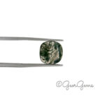 4.33ct Moss Agate - Cushion Cabochon