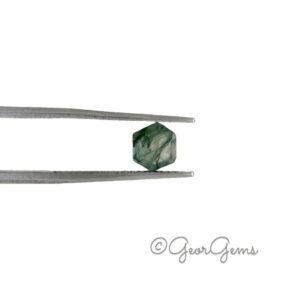 0.95ct Moss Agate - Hexagon