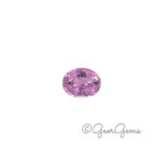 0.28ct Pink Sapphire - Oval