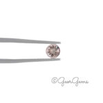0.45ct Morganite - Round