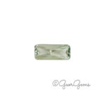 2.89ct Prasiolite - Rectangular Scissor Cut