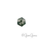 1.39ct Moss Agate - Hexagon