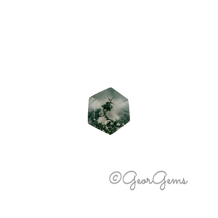 24911 1.39ct Moss Agate - Hexagon