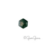1.36ct Moss Agate - Hexagon
