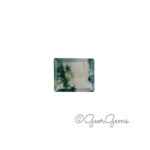 3.76ct Moss Agate - Rectangular Step Cut
