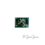 6.22ct Moss Agate - Rectangular Step Cut