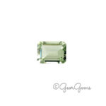 10.0ct Prasiolite - Emerald Cut