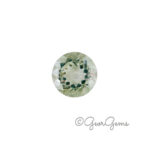 9.22ct Prasiolite - Round