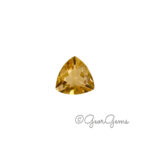 3.45ct Citrine - Triangular Cushion