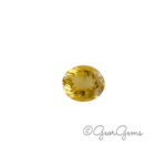 8.03ct Citrine - Oval